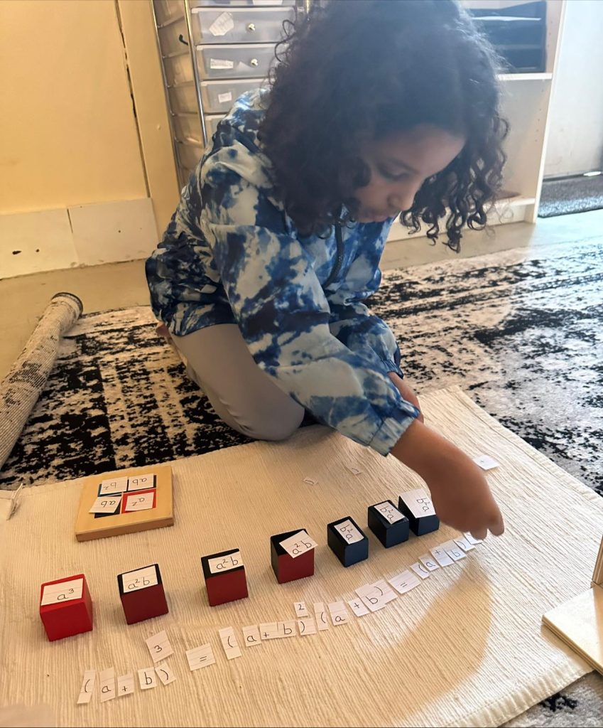 A student on a work rug laying out the binomial cube alongside its algebraic labels.